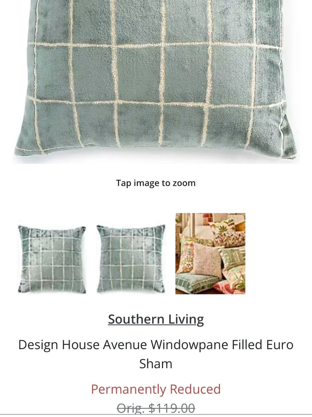 Southern Living Euro Pillows